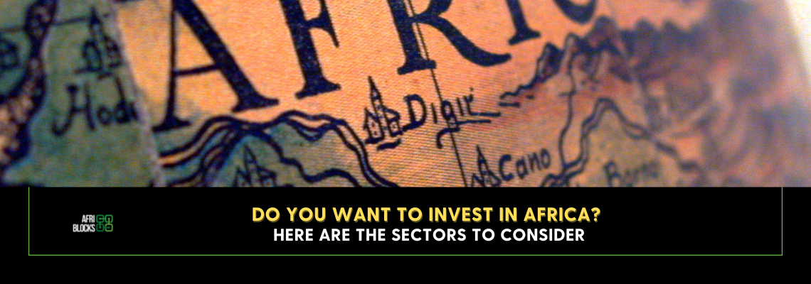 Do you want to Invest in Africa? Here are the Sectors to Consider