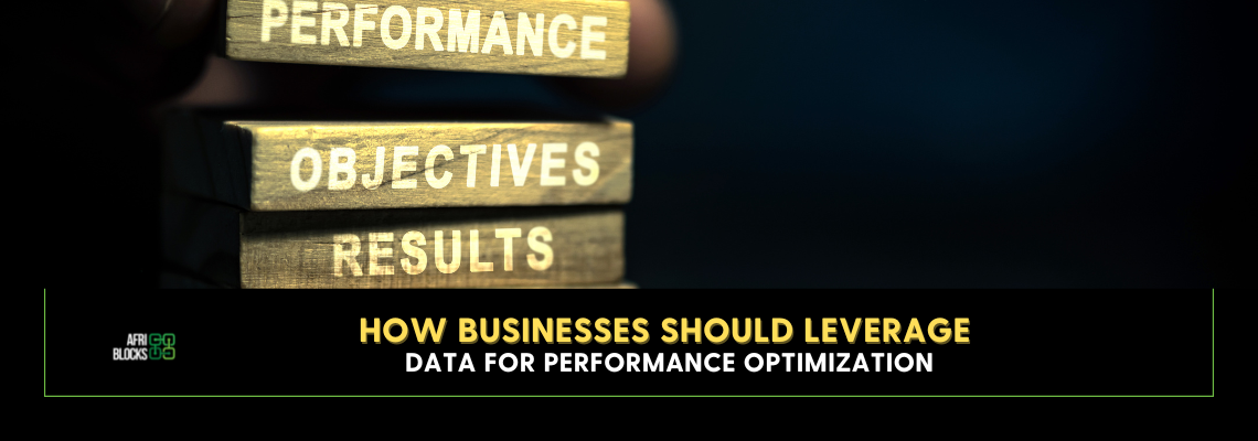How Businesses Should Leverage Data for Performance Optimization